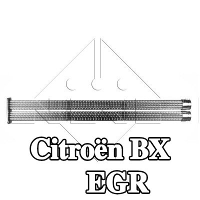 NRF مبرد EGR مع أجزاء التثبيت — Citroën Bx