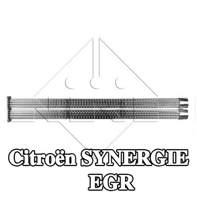 NRF مبرد EGR مع أجزاء التثبيت — Citroën Synergie