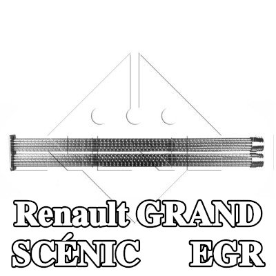 NRF مبرد EGR مع أجزاء التثبيت — 2012 Renault Grand Scénic