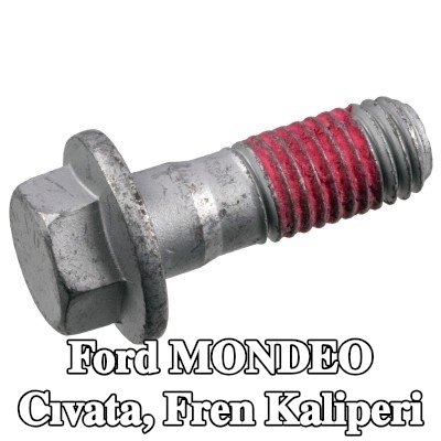 FEBI BILSTEIN Cıvata, ön aks fren kaliperi — Ford Mondeo
