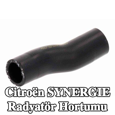 VAICO Radyatör hortumu — Citroën Synergie