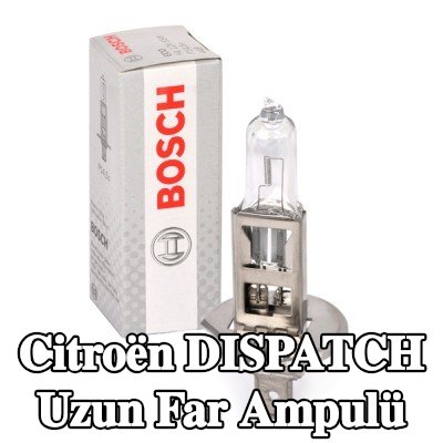 BOSCH Uzun far ampulü H1, 55W, 12V — Citroën Dispatch