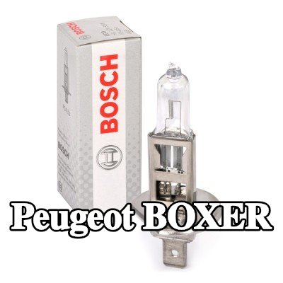 BOSCH لمبة الضوء العالي H1, 55W, 12V — Peugeot Boxer