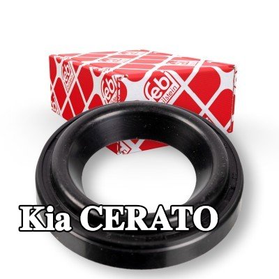 FEBI BILSTEIN حلقة مانعة للتسرب، عمود شمعة الإشعال — Kia Cerato