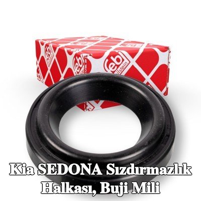 FEBI BILSTEIN Sızdırmazlık Halkası, buji mili — Kia Sedona