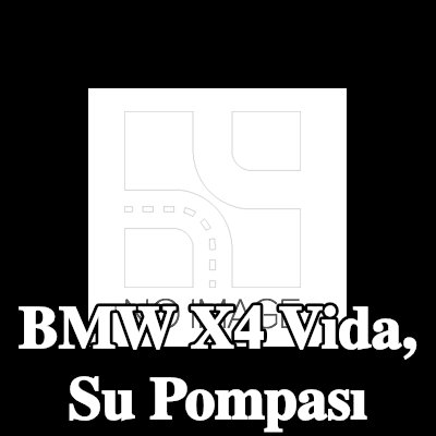FEBI BILSTEIN Vida, su pompası — BMW X4