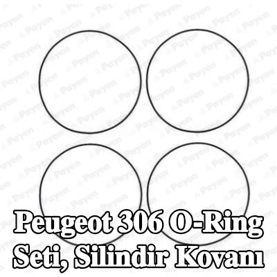 PAYEN O-Ring Seti, silindir kovanı — Peugeot 306