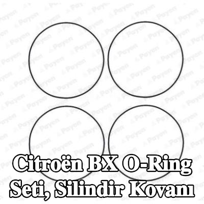 PAYEN O-Ring Seti, silindir kovanı — Citroën Bx