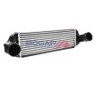 BOGAP Intercooler — 2008 BMW X3 (9)