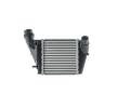 MAHLE Intercooler — Renault Wind (1)
