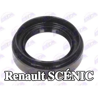 BTA حشية عمود الدفع اليمنى — Renault Scénic