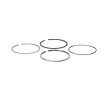 RIDEX Piston Segman Kiti — 1992 Mercedes-Benz Sl (2)