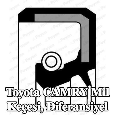PAYEN Mil Keçesi, diferansiyel — 2000 Toyota Camry