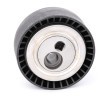 RIDEX Gergi kasnağı Ø: 70mm — Citroën Bx (2)