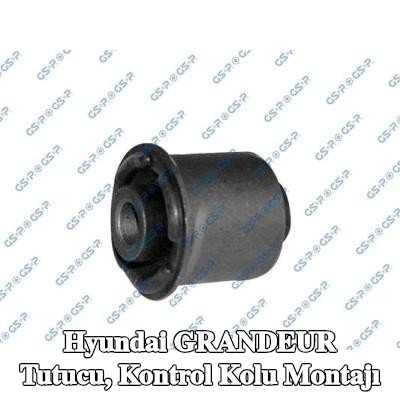 GSP Tutucu, kontrol kolu montajı — 2005 Hyundai Grandeur