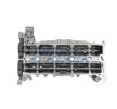 FRECCIA Motor eksantrik mili — Ford S-max (1)