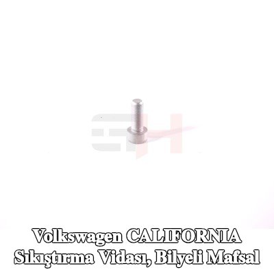 GH Sıkıştırma Vidası, bilyeli mafsal — Volkswagen California