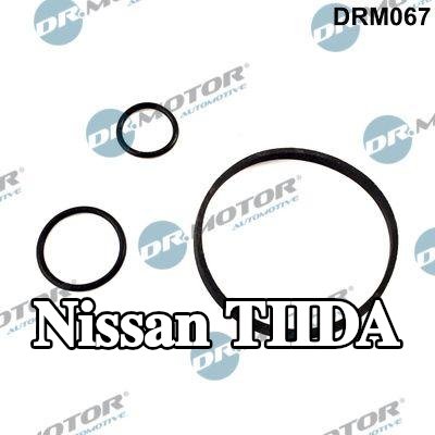 DR.MOTOR AUTOMOTIVE مجموعة حشيات، مبرد الزيت — Nissan Tiida