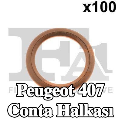 FA1 Conta halkası — 2004 Peugeot 407
