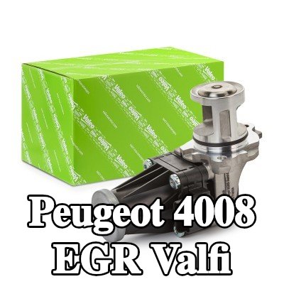VALEO Contalı/sızdırmazlık elemanlı EGR valfi — Peugeot 4008
