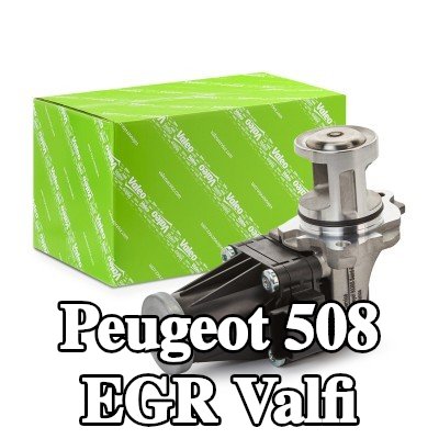 VALEO Contalı/sızdırmazlık elemanlı EGR valfi — 2012 Peugeot 508