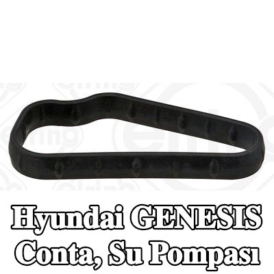 ELRING Conta, su pompası Sağ — Hyundai Genesis