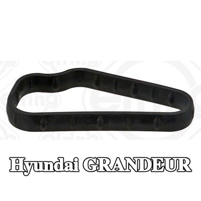 ELRING حشية, مضخة مياه يمين — 2009 Hyundai Grandeur
