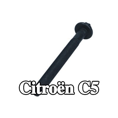 CITROEN/PEUGEOT برغي رأس الأسطوانة — Citroën C5