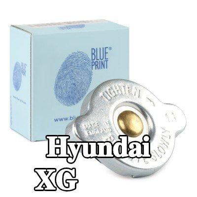BLUE PRINT غطاء المبرد — Hyundai Xg