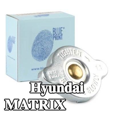 BLUE PRINT غطاء المبرد — Hyundai Matrix