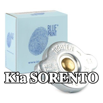 BLUE PRINT غطاء المبرد — Kia Sorento