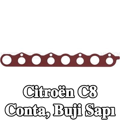 REINZ Conta, buji sapı — Citroën C8