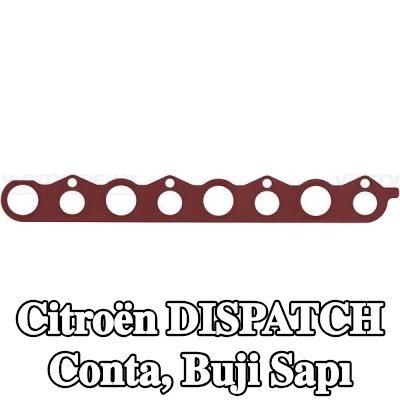 REINZ Conta, buji sapı — Citroën Dispatch