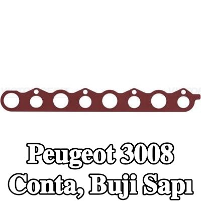 REINZ Conta, buji sapı — 2012 Peugeot 3008