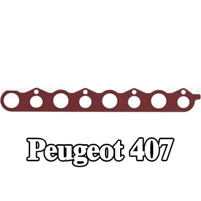 REINZ حشية، ساق شمعة الإشعال — Peugeot 407