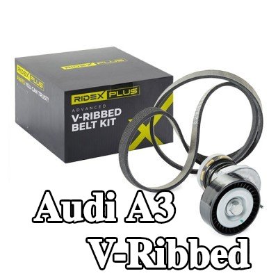 RIDEX PLUS مجموعة أحزمة V-Ribbed — 2012 Audi A3