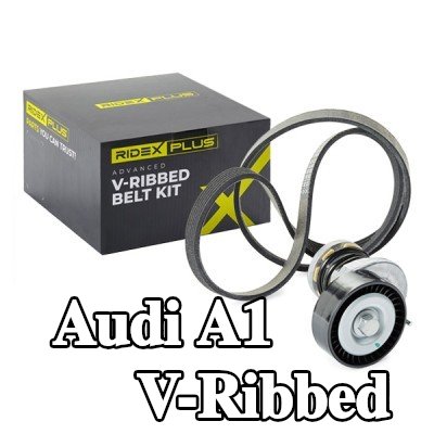 RIDEX PLUS مجموعة أحزمة V-Ribbed — 2010 Audi A1