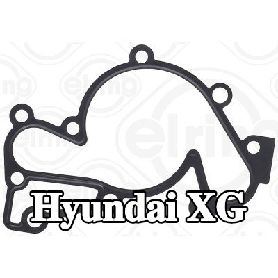 ELRING حشية، مضخة المياه — Hyundai Xg