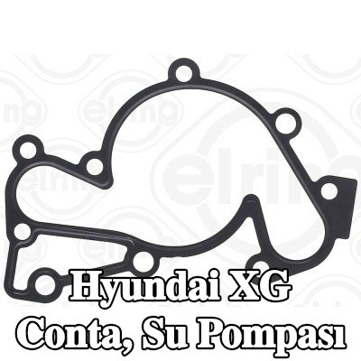 ELRING Conta, su pompası — Hyundai Xg