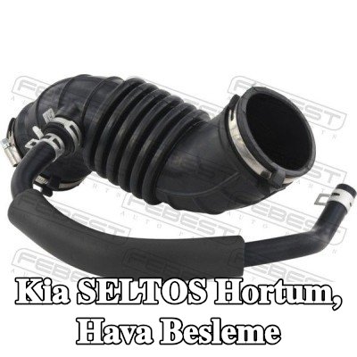 FEBEST Hortum, hava besleme — Kia Seltos