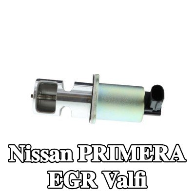 AISIN Contalı/sızdırmazlık elemanlı EGR valfi — Nissan Primera