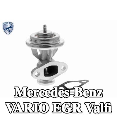 VEMO Contalı/sızdırmazlık elemanlı EGR valfi, EXPERT KITS + — Mercedes-Benz Vario