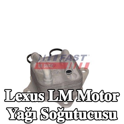 FAST Motor yağı soğutucusu — Lexus Lm