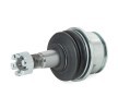 RIDEX Ön Aks Alt Bilyeli Mafsal, 17, 4mm — Toyota Fj (3)