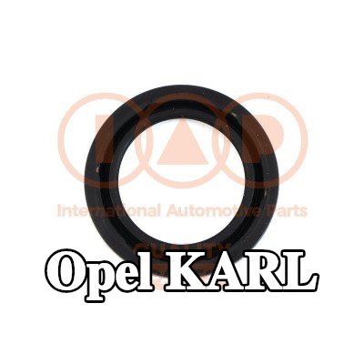 IAP QUALITY PARTS حشية عمود الكامات الجانب الأمامي — Opel Karl