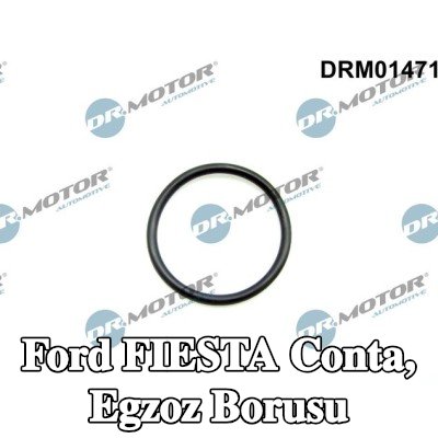 DR.MOTOR AUTOMOTIVE Conta, egzoz borusu — 2010 Ford Fiesta