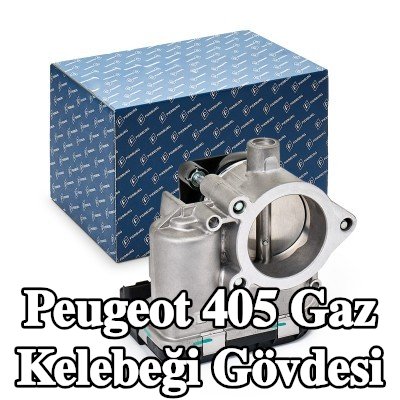 PIERBURG Gaz kelebeği gövdesi Kontrol Ünitesi/Yazılımı eğitilmeli/güncellenmelidir — Peugeot 405