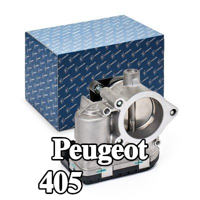 PIERBURG وحدة التحكم في جسم الخانق/يجب تدريب/تحديث البرنامج — Peugeot 405
