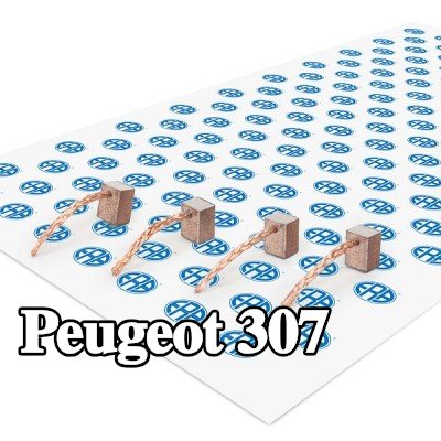 ERA فرشاة كربونية، محرك التشغيل — Peugeot 307