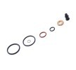 RIDEX REMAN Tekli enjektör — Volkswagen Eos (5)